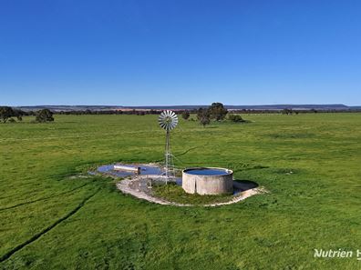 "Gracefield Park", 754 Beermullah Road West, Beermullah WA 6503