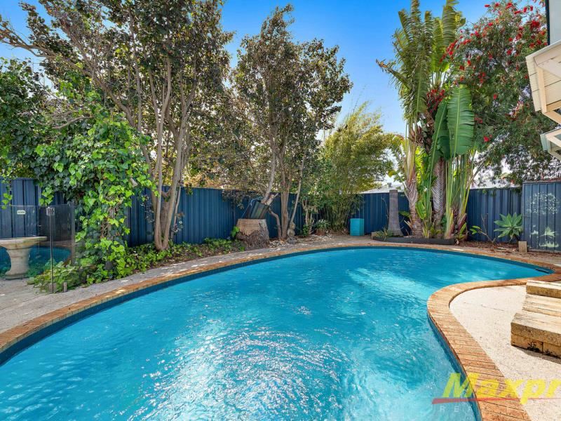 11 Serrata Crescent, Ferndale