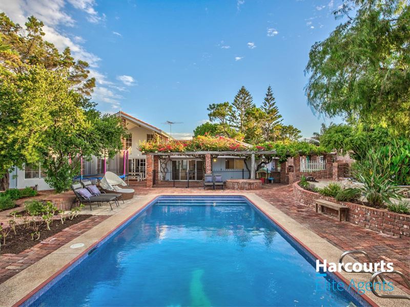 6 David Road, Waikiki