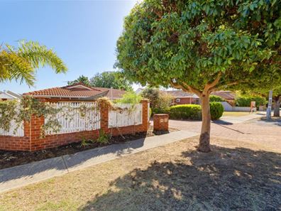 181a Flamborough Street, Doubleview WA 6018