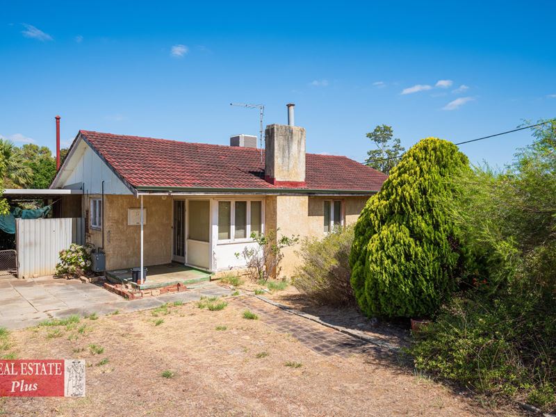 17 Clianthus Way, Koongamia