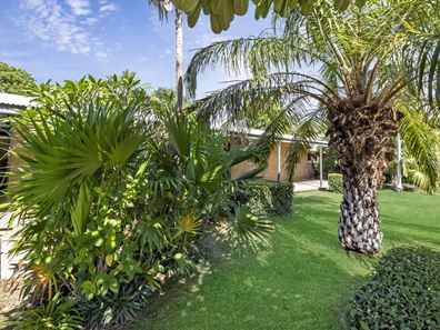 14 Mallee Court, Kununurra WA 6743