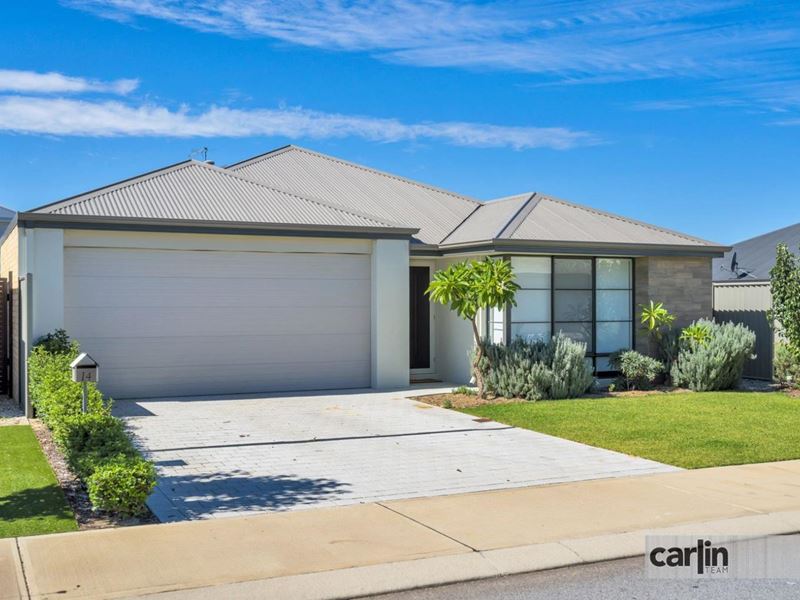 14 Mahoney Street, Success