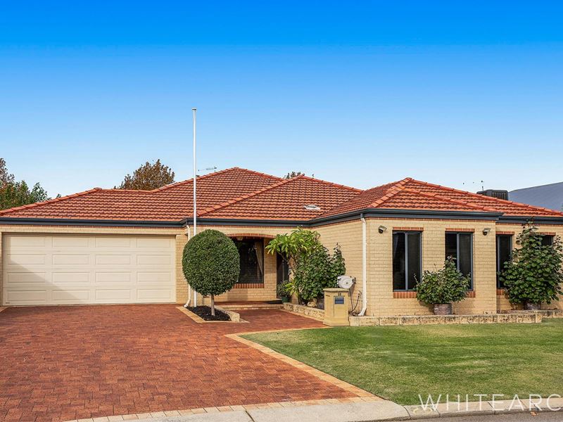 25 Dryandra Elbow, Atwell WA 6164