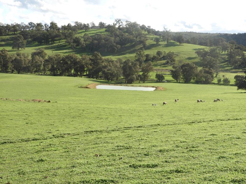 Kyellen Farm, Quindanning-Darkan Road, Quindanning