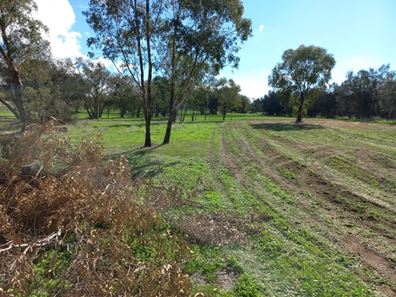 22/(Lot 10) Duffield Street, Beverley WA 6304