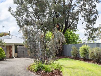 6B Redgum Court, Margaret River WA 6285