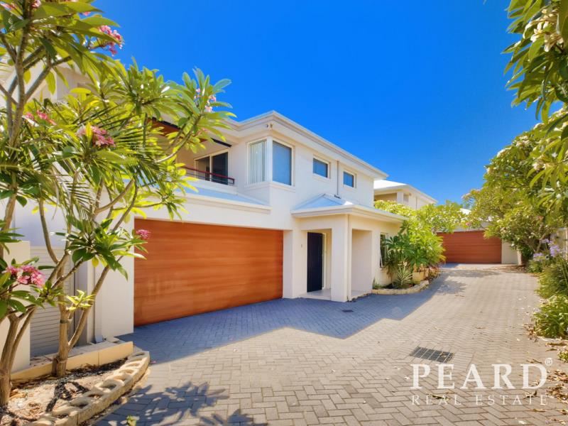 18B Ewen Street, Scarborough