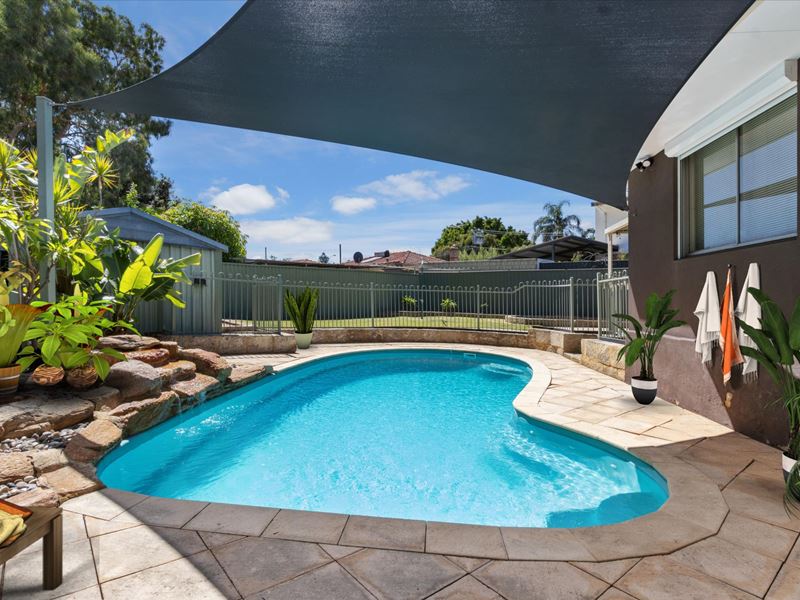 95 Hardey Road, Belmont