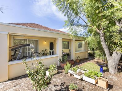 104 Sasse Avenue, Mount Hawthorn WA 6016