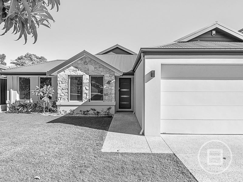 153 Flamborough Street, Doubleview