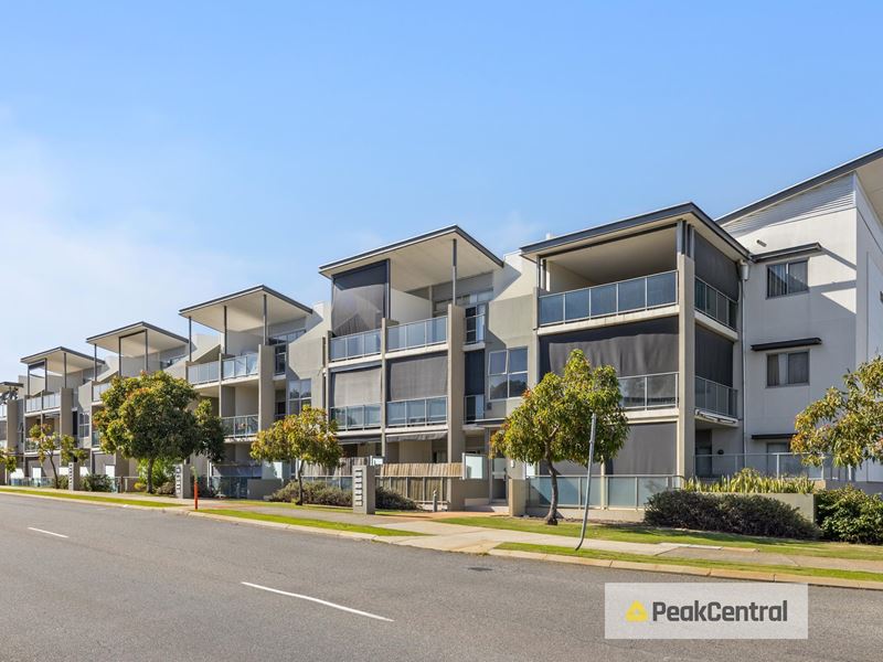 24/105 Wentworth Parade, Success