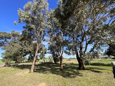 Lot 50 Pinjarra Williams Road, Quindanning WA 6391