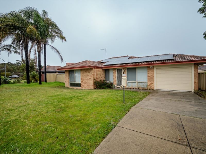 81 Turquoise Loop, Banksia Grove