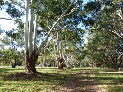 Lot 6, 338 Fletcher Road, Karnup WA 6176