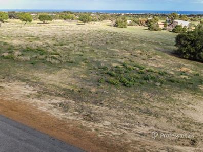 95 Stirling Place, Waggrakine WA 6530