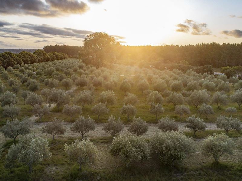 1544 Fisheries Road, Myrup WA 6450