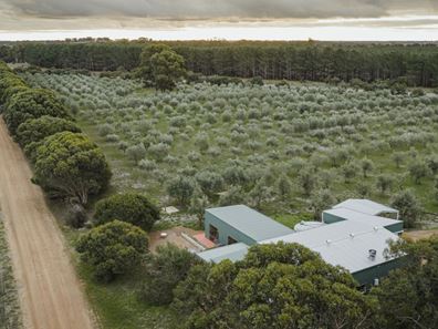 1544 Fisheries Road, Myrup WA 6450