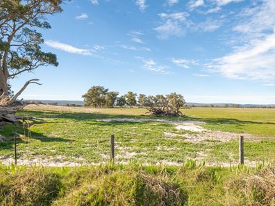 Lot 98 McLarty Road, Meelon WA 6208