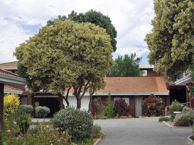 4/12-14 Elvira Street, Palmyra WA 6157