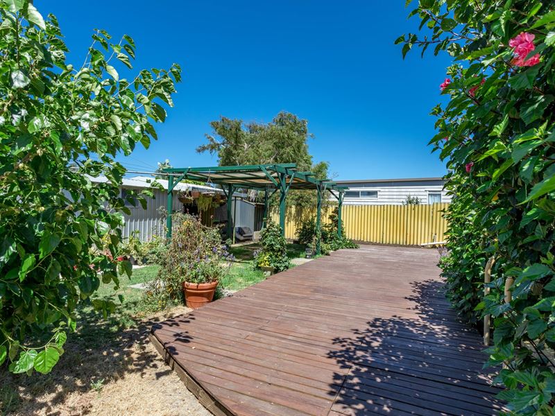119 Grovelands Drive, Camillo