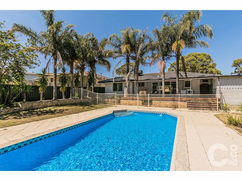 9 Dargin Place, Orelia