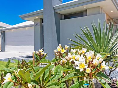 23 Pangolin Grove, Alkimos WA 6038