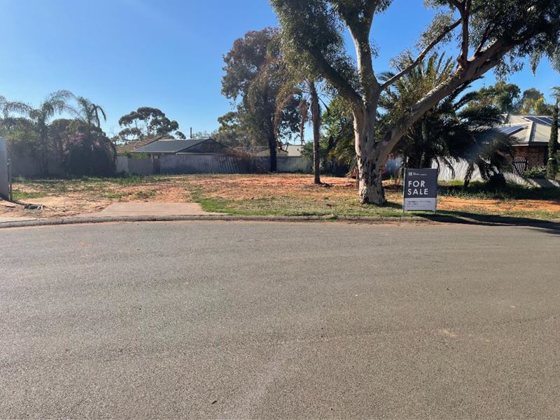 6 Hartrey Lane, Hannans