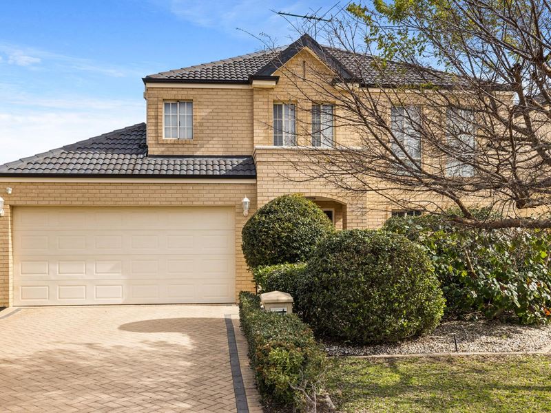 8 Wing Court, Maylands