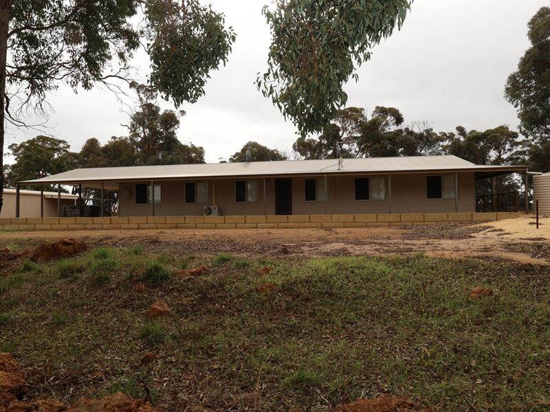 42 Pollard Road, Wandering