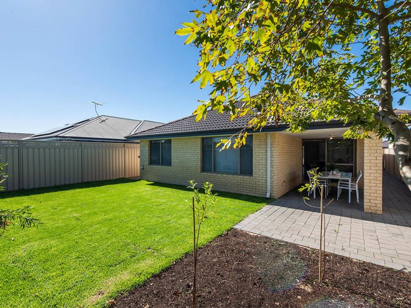 3 Anomala Avenue, Wattle Grove
