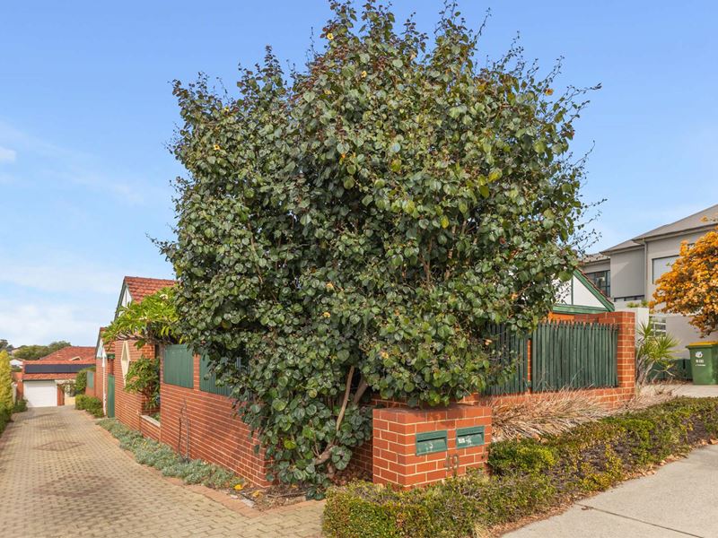 2/49 South Terrace, Como