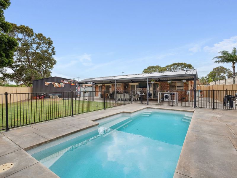 79 Anaconda Drive, Gosnells