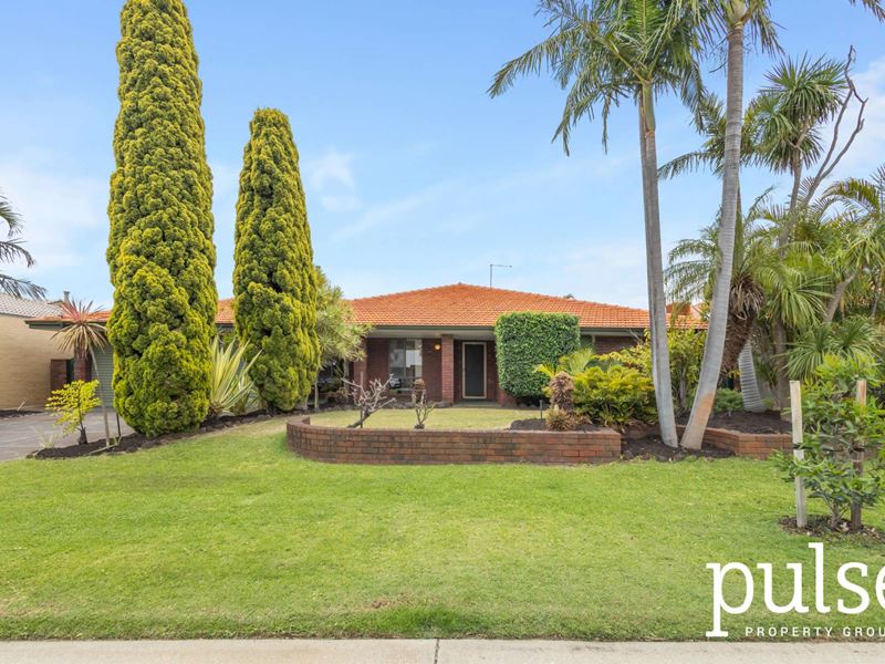 12 Aldam Crescent, Shelley WA 6148