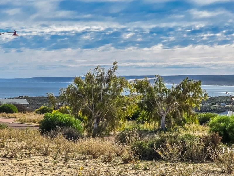 2 Persoonia Street, Kalbarri WA 6536