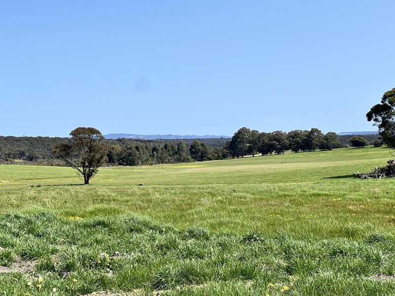 Lot 236,  STAGE 2 - Albany Views Private Estate - Albany Views Private Estate, Drome, Albany WA 6330