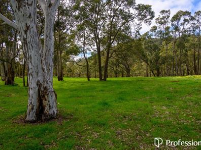 Lot 805 Falls Road, Serpentine WA 6125