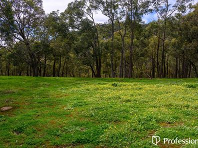 Lot 805 Falls Road, Serpentine WA 6125