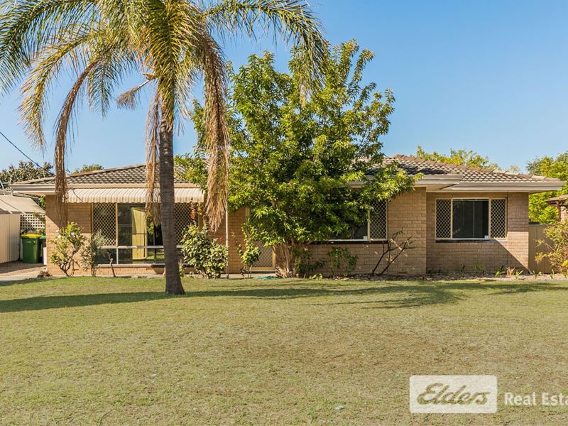 7 Quamby Place, Rockingham WA 6168