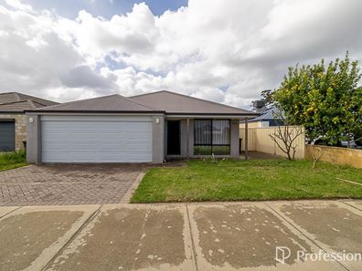 8 Amaranthus Road, Seville Grove WA 6112
