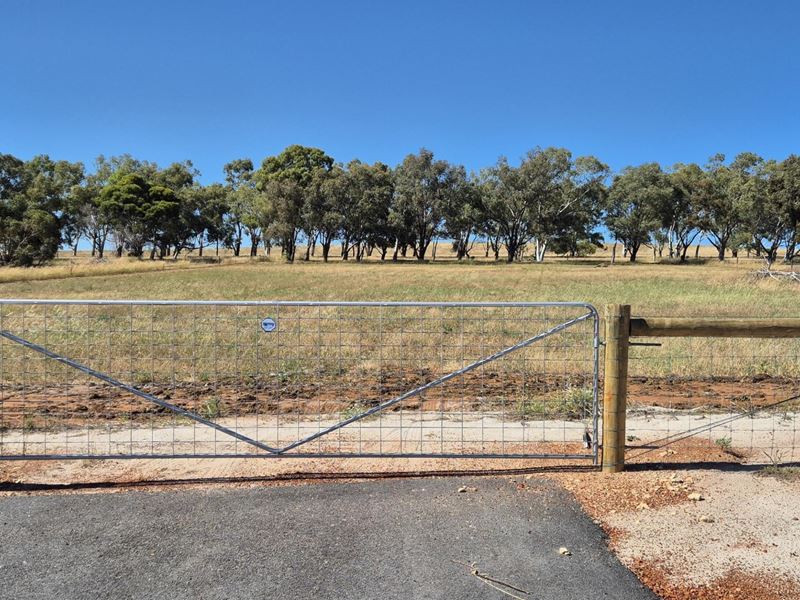 Lot 71,  Starbush Way, Ginginup WA 6503