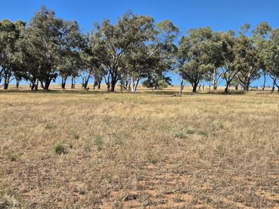 Lot 71,  Starbush Way, Ginginup WA 6503