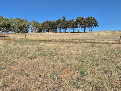 Lot 71,  Starbush Way, Ginginup WA 6503