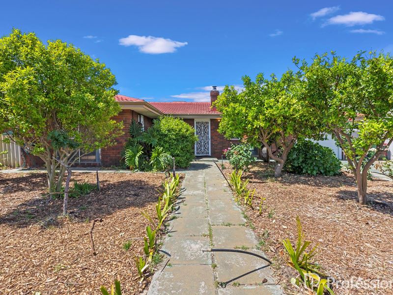 46 Cypress Road, Forrestfield WA 6058