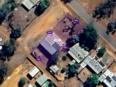 28 Williamson Street, Three Springs WA 6519