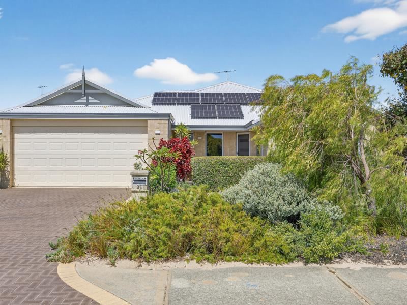 25 Dorado Street, Singleton