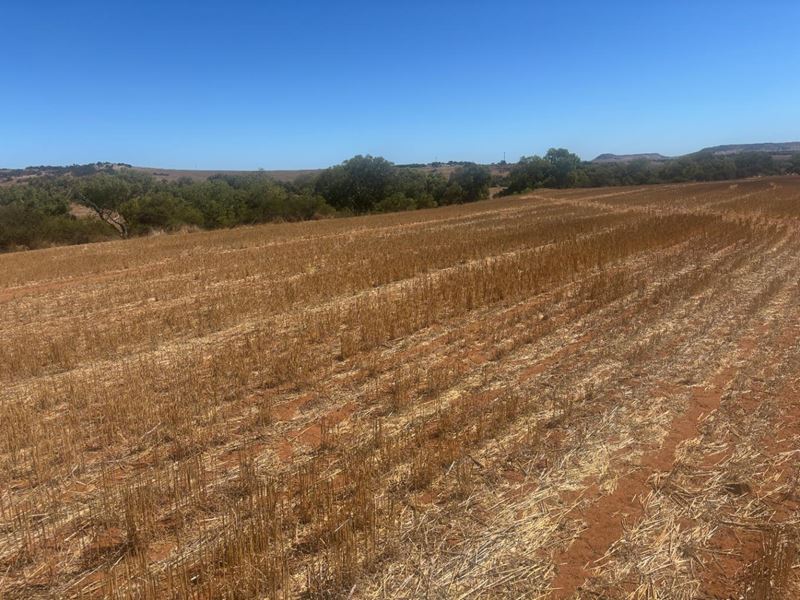 Lot 1 Giles  Road, Moonyoonooka