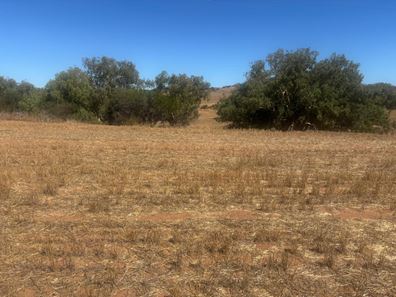 Lot 1 Giles  Road, Moonyoonooka WA 6532