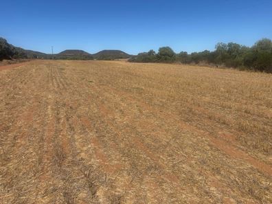 Lot 1 Giles  Road, Moonyoonooka WA 6532