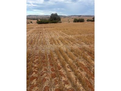 Lot 1 Giles  Road, Moonyoonooka WA 6532